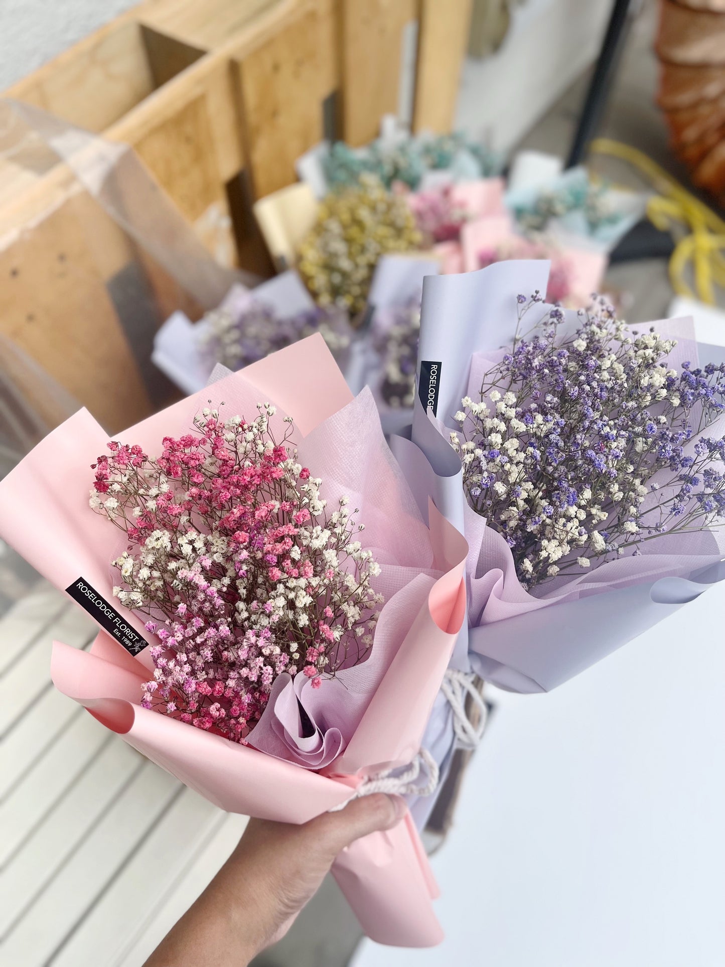 Petite Baby's Breath Bundle