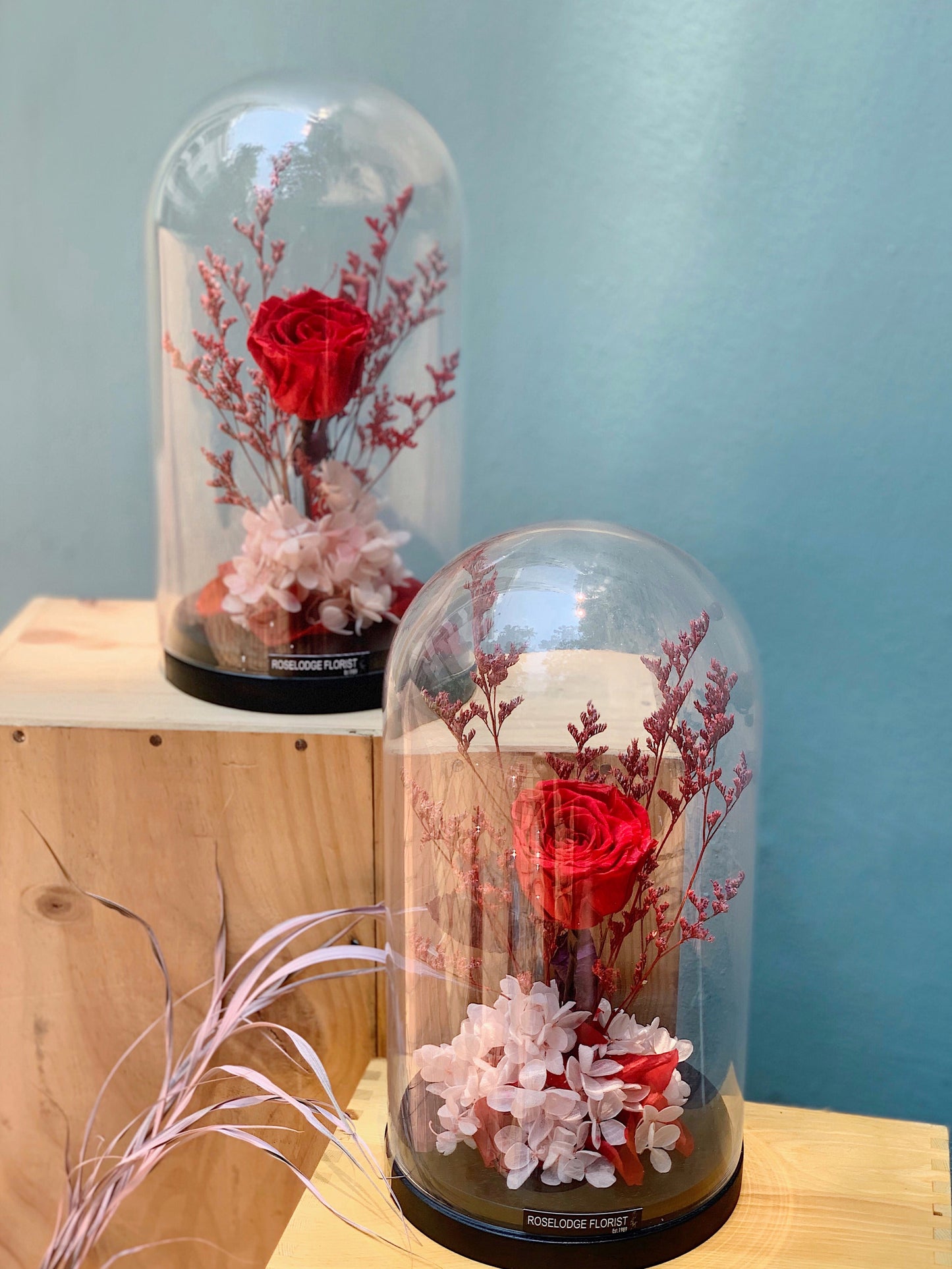 Red Preserved Rose in Bell Jar