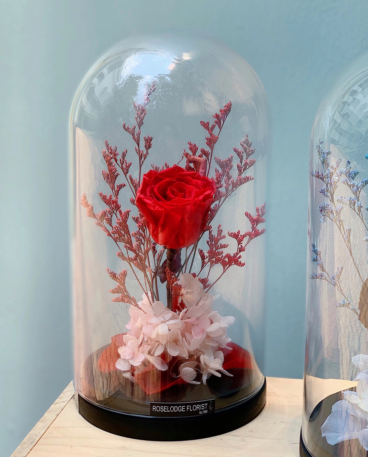 Red Preserved Rose in Bell Jar