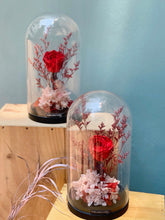 Load image into Gallery viewer, Red Preserved Rose in Bell Jar