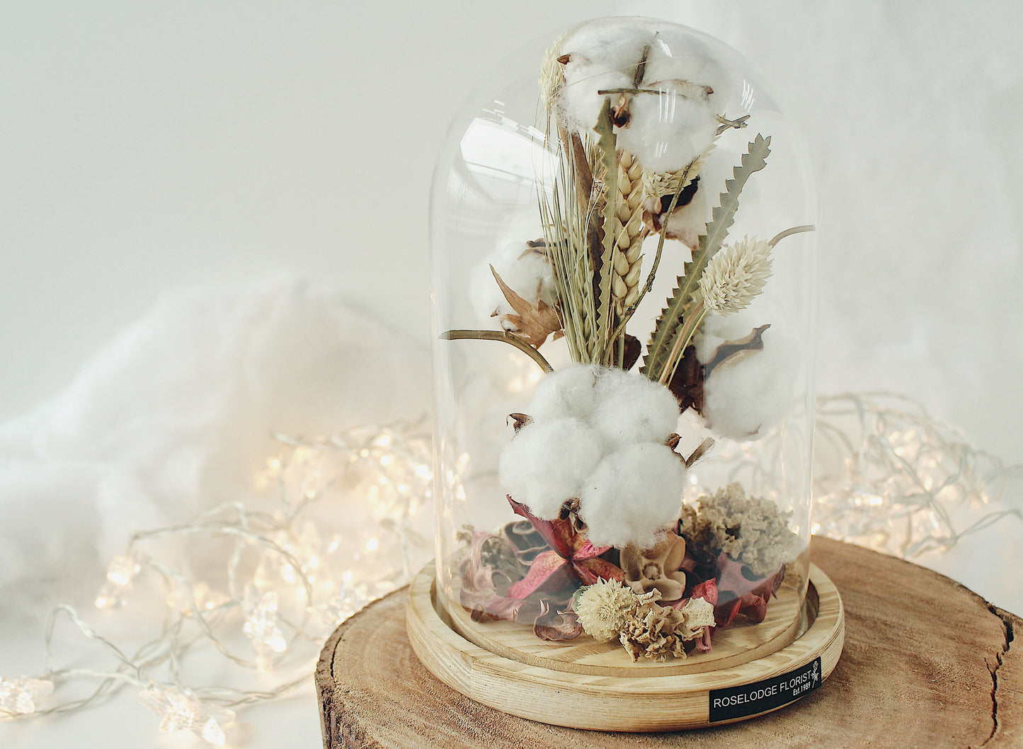 Cotton Fluff in Bell Jar