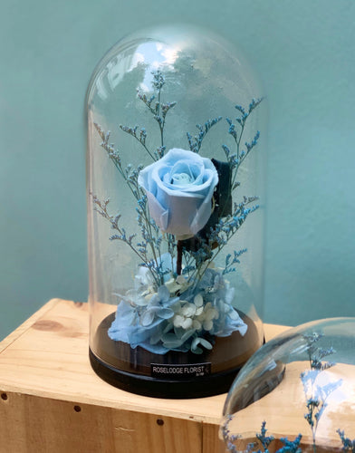 Blue Preserved Rose in Bell Jar