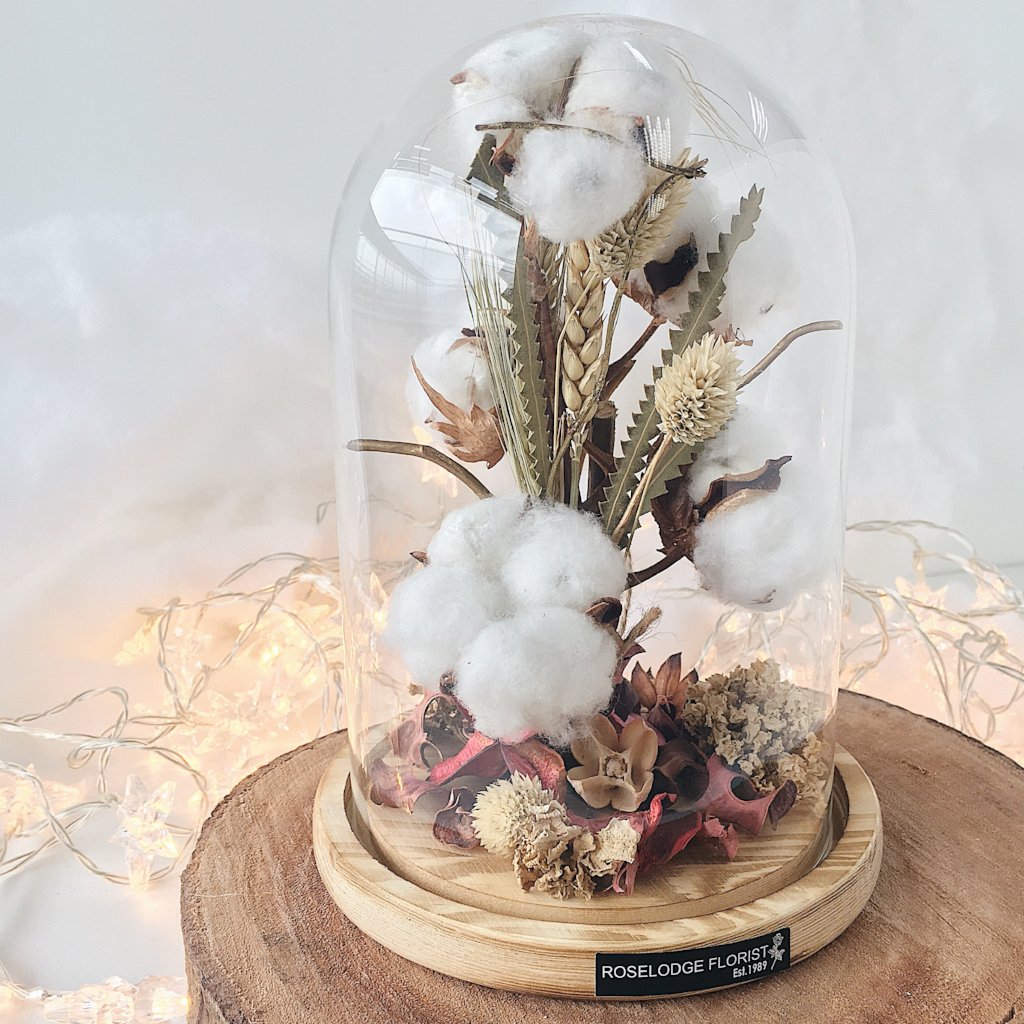 Cotton Fluff in Bell Jar